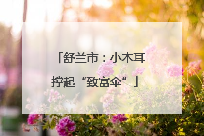 舒兰市：小木耳撑起“致富伞”