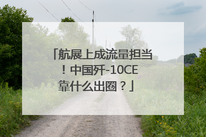 航展上成流量担当！中国歼-10CE靠什么出圈？