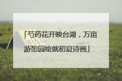 芍药花开映台湖，万亩游憩园绘就初夏诗画