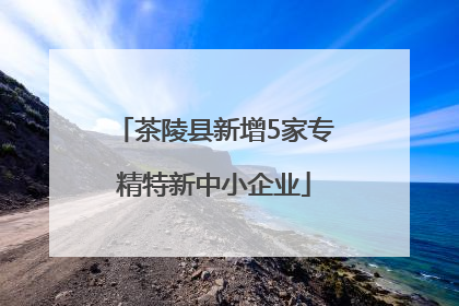 茶陵县新增5家专精特新中小企业