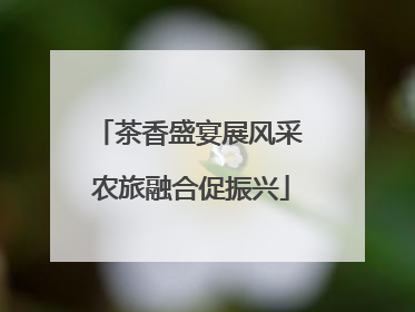 茶香盛宴展风采 农旅融合促振兴