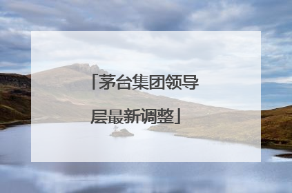 茅台集团领导层最新调整