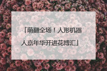 萌翻全场！人形机器人嘉年华开进花博汇