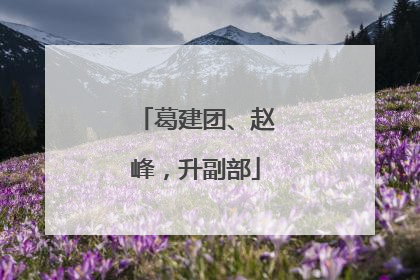 葛建团、赵峰，升副部