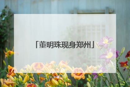 董明珠现身郑州