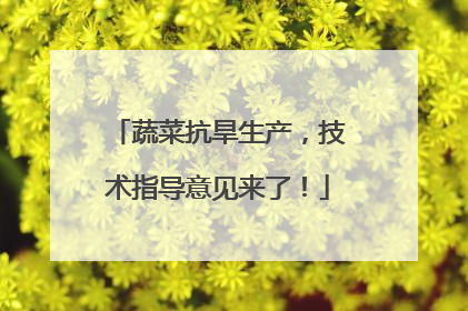 蔬菜抗旱生产，技术指导意见来了！