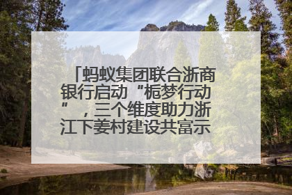 蚂蚁集团联合浙商银行启动“栀梦行动”，三个维度助力浙江下姜村建设共富示范区示范点