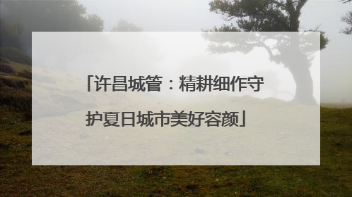 许昌城管：精耕细作守护夏日城市美好容颜