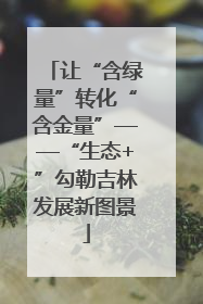 让“含绿量”转化“含金量”——“生态+”勾勒吉林发展新图景