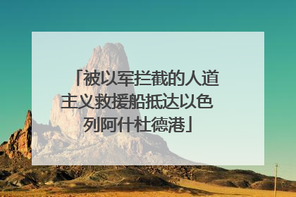 被以军拦截的人道主义救援船抵达以色列阿什杜德港