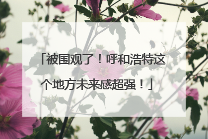 被围观了！呼和浩特这个地方未来感超强！