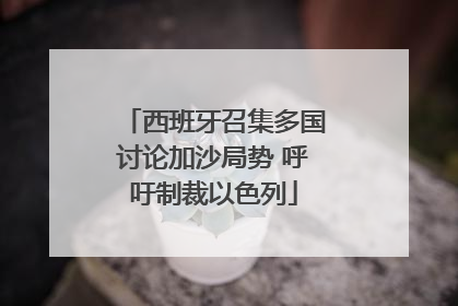 西班牙召集多国讨论加沙局势 呼吁制裁以色列