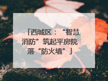 西城区：“智慧消防”筑起平房院落“防火墙”