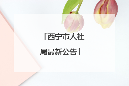 西宁市人社局最新公告