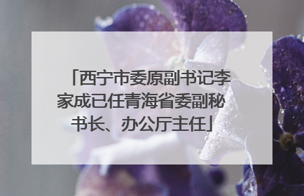 西宁市委原副书记李家成已任青海省委副秘书长、办公厅主任