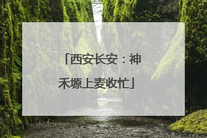 西安长安：神禾塬上麦收忙