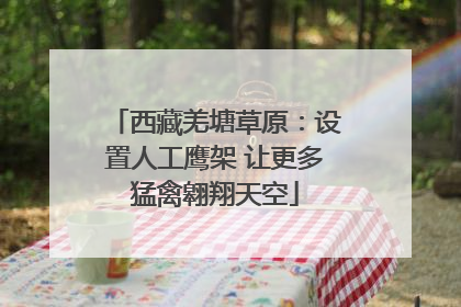 西藏羌塘草原：设置人工鹰架 让更多猛禽翱翔天空