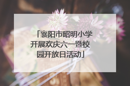 襄阳市昭明小学开展欢庆六一暨校园开放日活动