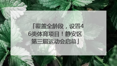 覆盖全龄段，设置46类体育项目！静安区第三届运动会启幕