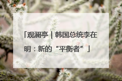 观澜亭｜韩国总统李在明：新的“平衡者”