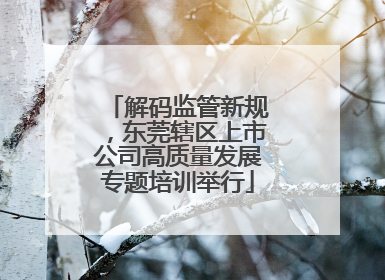 解码监管新规，东莞辖区上市公司高质量发展专题培训举行