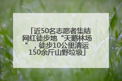 近50名志愿者集结网红徒步地“天鹅林场”，徒步10公里清运150余斤山野垃圾