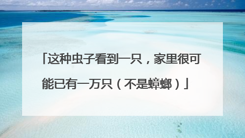 这种虫子看到一只，家里很可能已有一万只（不是蟑螂）