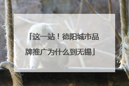 这一站！德阳城市品牌推广为什么到无锡