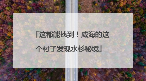 这都能找到！威海的这个村子发现水杉秘境
