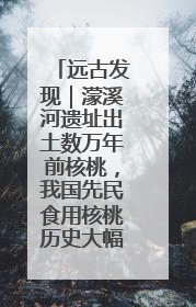 远古发现｜濛溪河遗址出土数万年前核桃，我国先民食用核桃历史大幅提前