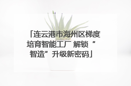 连云港市海州区梯度培育智能工厂 解锁“智造”升级新密码