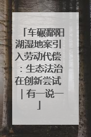 车碾鄱阳湖湿地案引入劳动代偿：生态法治在创新尝试｜有一说一