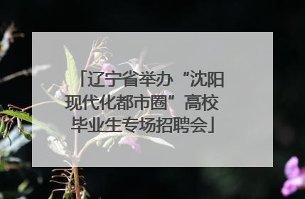 辽宁省举办“沈阳现代化都市圈”高校毕业生专场招聘会