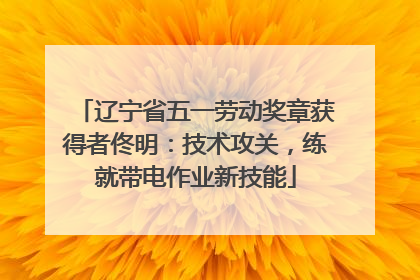 辽宁省五一劳动奖章获得者佟明：技术攻关，练就带电作业新技能