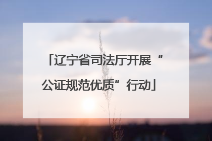 辽宁省司法厅开展“公证规范优质”行动
