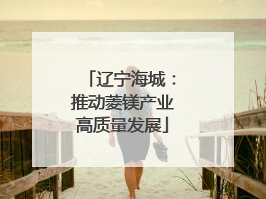 辽宁海城：推动菱镁产业高质量发展