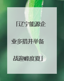 辽宁能源企业多措并举备战迎峰度夏