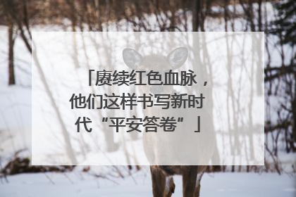赓续红色血脉，他们这样书写新时代“平安答卷”