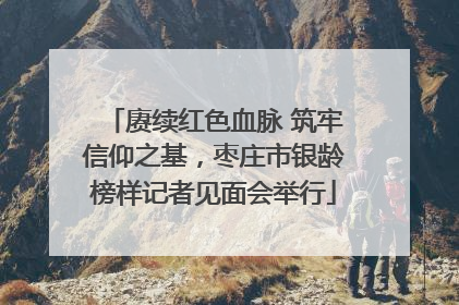 赓续红色血脉 筑牢信仰之基，枣庄市银龄榜样记者见面会举行