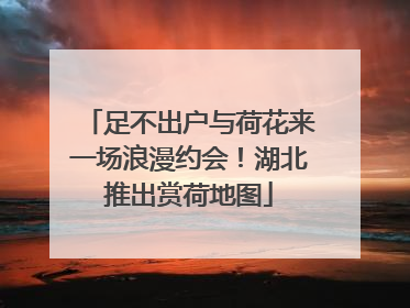 足不出户与荷花来一场浪漫约会！湖北推出赏荷地图