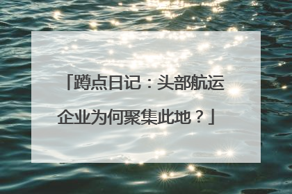 蹲点日记：头部航运企业为何聚集此地？