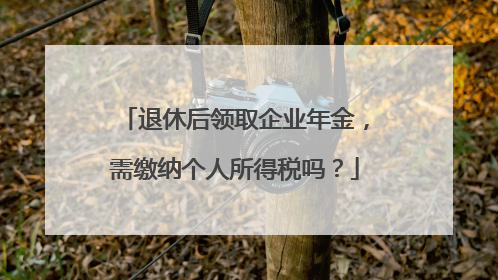 退休后领取企业年金，需缴纳个人所得税吗？
