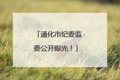 通化市纪委监委公开曝光！