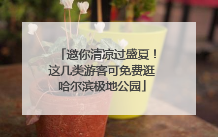 邀你清凉过盛夏！这几类游客可免费逛哈尔滨极地公园