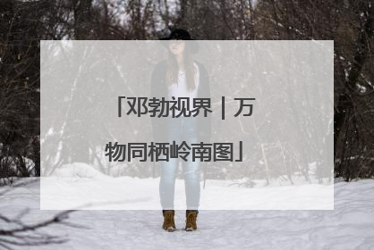 邓勃视界｜万物同栖岭南图
