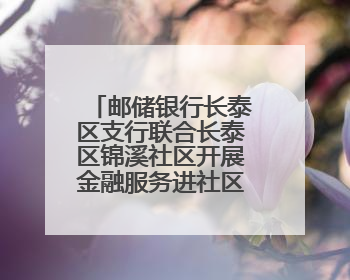 邮储银行长泰区支行联合长泰区锦溪社区开展金融服务进社区活动