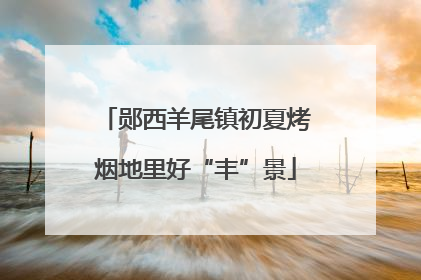 郧西羊尾镇初夏烤烟地里好“丰”景