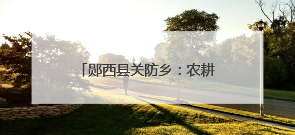 郧西县关防乡：农耕机助力小麦颗粒归仓