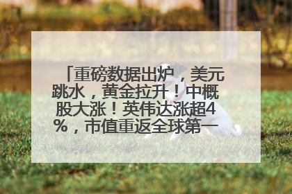 重磅数据出炉，美元跳水，黄金拉升！中概股大涨！英伟达涨超4%，市值重返全球第一！黄仁勋计划出售至多600万股股票