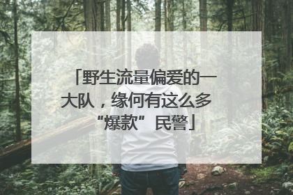 野生流量偏爱的一大队，缘何有这么多“爆款”民警